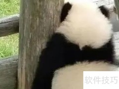 2021年最火网络流行梗盘点