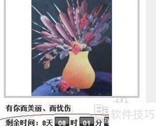 无底价拍卖操作流程