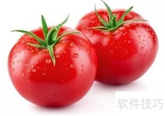 西红柿：水果还是蔬菜？