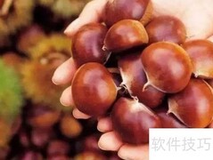 板栗是水果还是蔬菜？