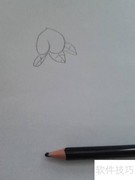 水果蔬菜简笔画组合