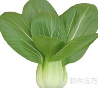 水果不能替代蔬菜营养