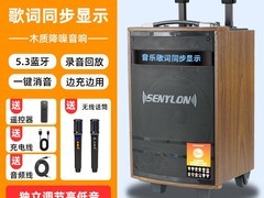 声亿龙2026新款K歌音响，低至288元