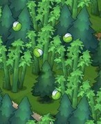 小森灵天气玩法全揭秘