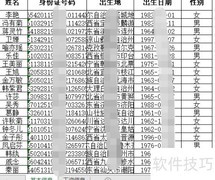 Excel分类合并工具使用指南