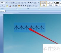 Word字符合并工具使用指南