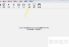 Dolphin设置Wii遥控器震动