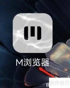 M浏览器一键进入轻站