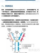 正确选择抗体的实用指南