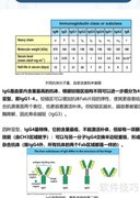 正确选择抗体的实用指南