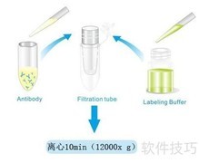 生物素标记抗体/蛋白方法