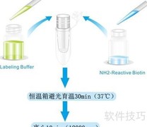 生物素标记抗体/蛋白方法