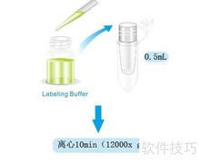 生物素标记抗体/蛋白方法