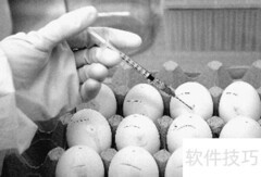 家禽抗体检测实用方法