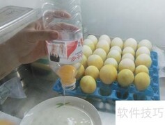 自制新城疫卵黄抗体方法