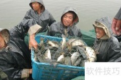 渔业股票行业深度分析
