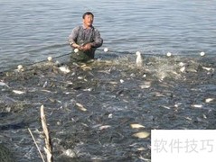 渔业股票行业分析