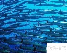 渔业股票行业深度分析