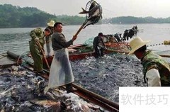 渔业股票行业分析（中）