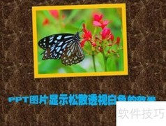 松散透视下的白色视觉效果