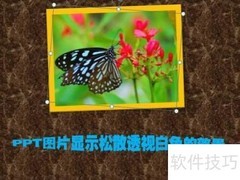 松散透视下的白色视觉效果