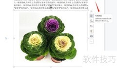 插入图片并设为紧密型环绕