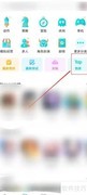 如何查看网络独家游戏