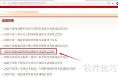 执业药师成绩查询入口