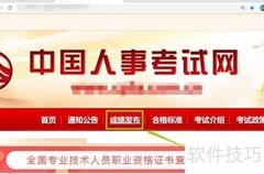 执业药师成绩查询入口