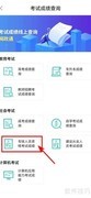 执业药师成绩查询方法