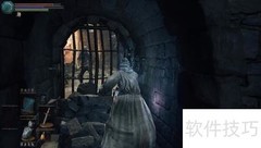 黑暗之魂3：召唤专家打波尔多