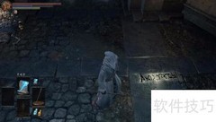 黑暗之魂3：召唤专家打波尔多