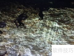 新仙剑炼蛊全攻略