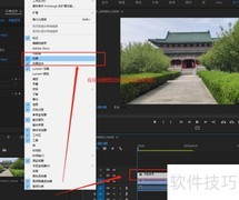 PR三向校色器亮度输出解析