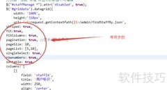 Java Web DataGrid详解