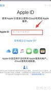 苹果手机ID登录指南