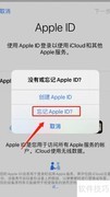 Apple ID密码重置指南