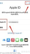 Apple ID密码重置指南