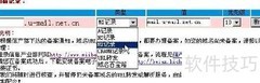 A记录与MX记录设置指南
