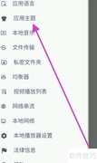 MX播放器主题更换教程