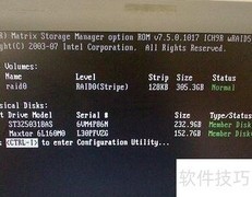 Windows 7 RAID安装指南