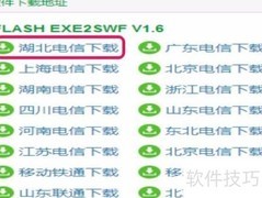 Flash转视频格式方法