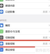 iPhone 12语音控制设置方法