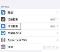 iPhone 12语音控制使用指南