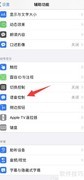 iPhone 11语音控制开启方法
