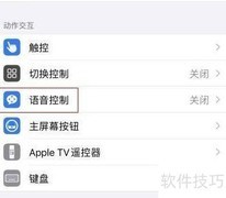iPhone 12语音控制使用指南