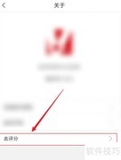 Vista看天下APP评分方法