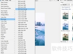 ColorStyler添加BW Grain滤镜