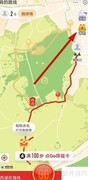 支付宝财神卡获取与使用指南