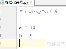 格式化符号详解